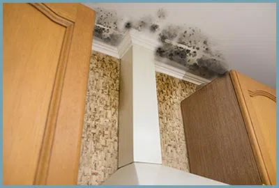 Coral Gables Restoration Company Coral Gables, FL 786-363-3847