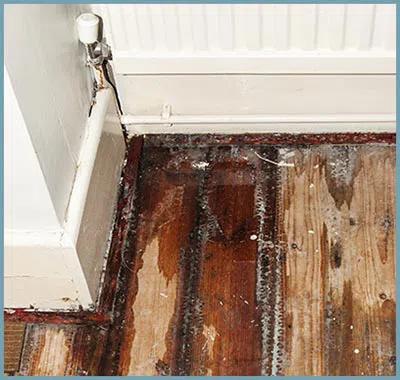 Coral Gables Restoration Company Coral Gables, FL 786-363-3847 - content-ser-water-damage