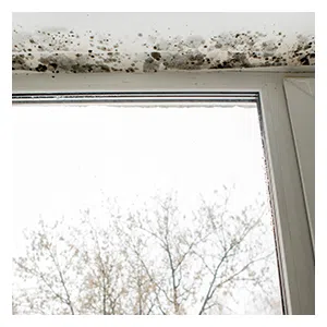 Coral Gables Restoration Company, Coral Gables, FL 786-363-3847 Coral Gables Restoration Company, Coral Gables, FL 786-363-3847