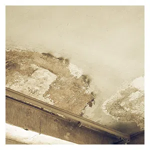 Coral Gables Restoration Company, Coral Gables, FL 786-363-3847